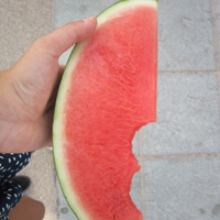 qqڰ׸ͷ:攏Ӧ̔_돕Aʱȉؿ