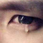 ͷȫ䡣ֻһ롣ѡ񣬲