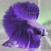 ΨͷͼƬһ·
