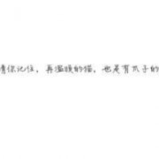 䴿ͷͼƬûٸǣ