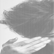 ֵͷͼƬ,2013¸ֵͷȫ