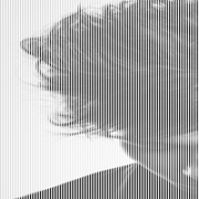 ֵͷͼƬ,2013¸ֵͷȫ