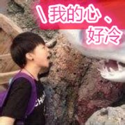 QQͷһţҲԸʹʧȥ