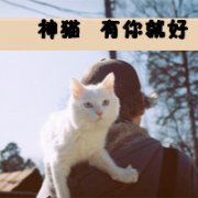 ˸еQQͷȫ