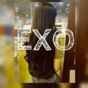 ÿEXO΢ͷͼƬ